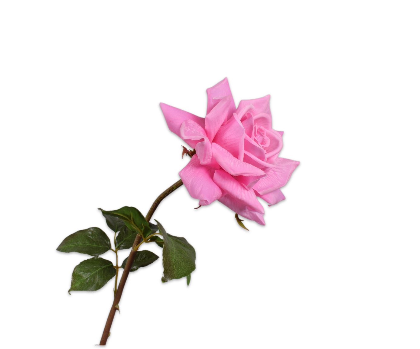 Rose Real Touch 69cm