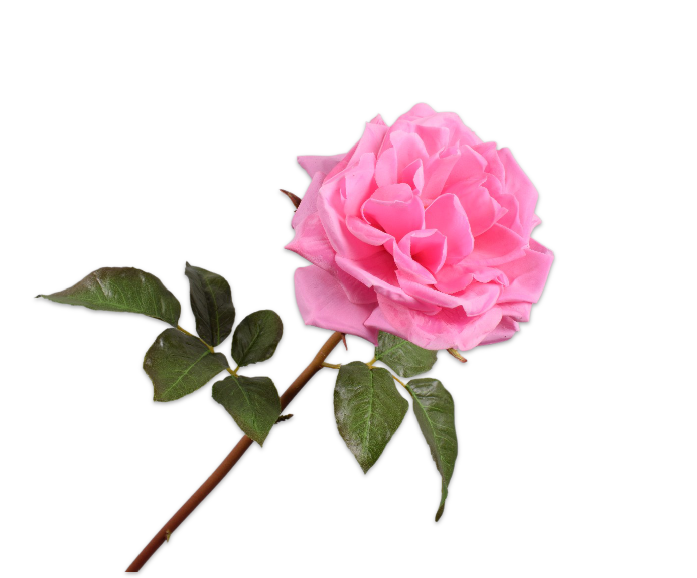 Rose Real Touch 51cm