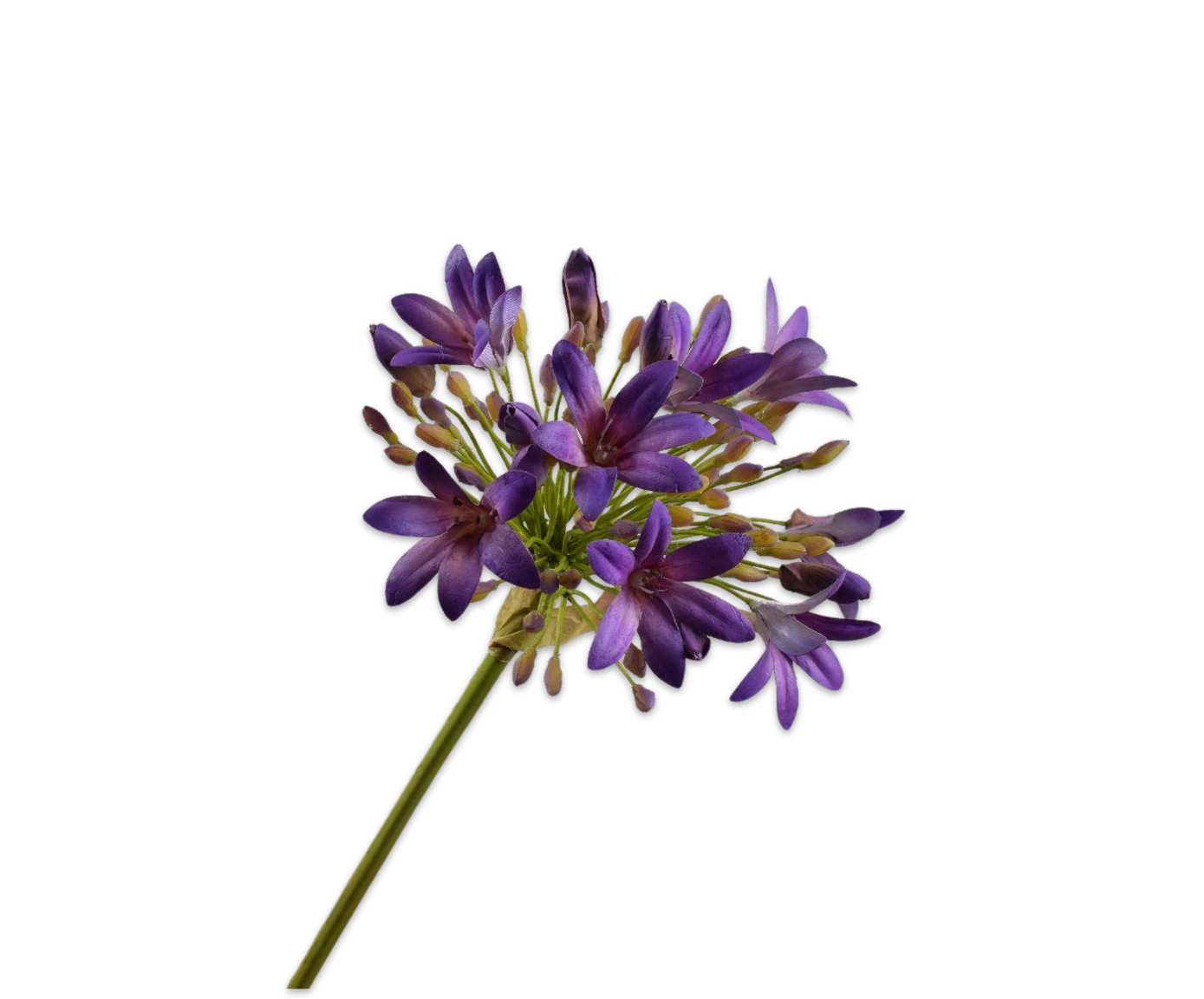 Agapanthus Real Touch 92cm