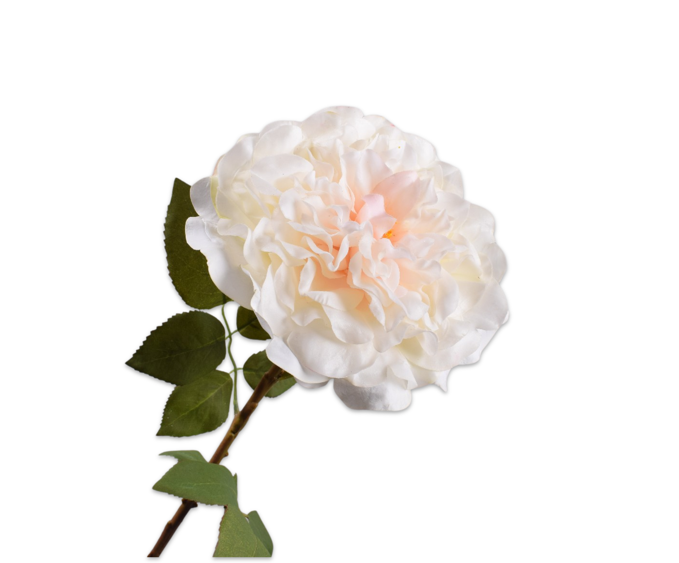 Rose Real Touch 70cm