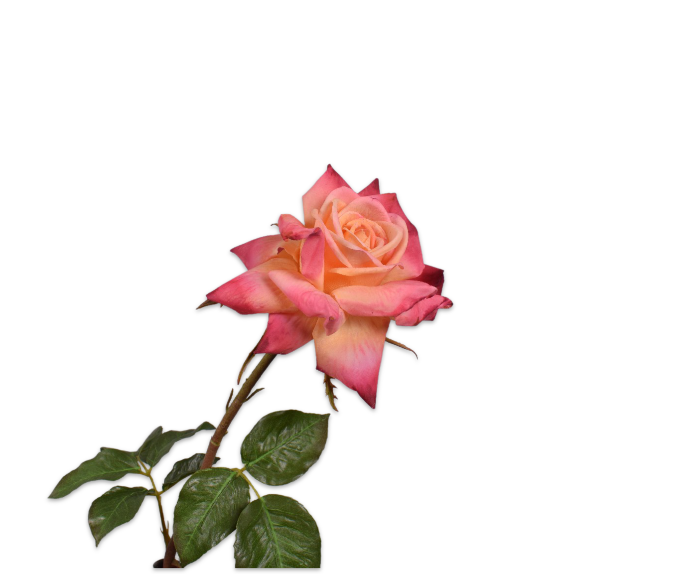 Rose Real Touch 69cm