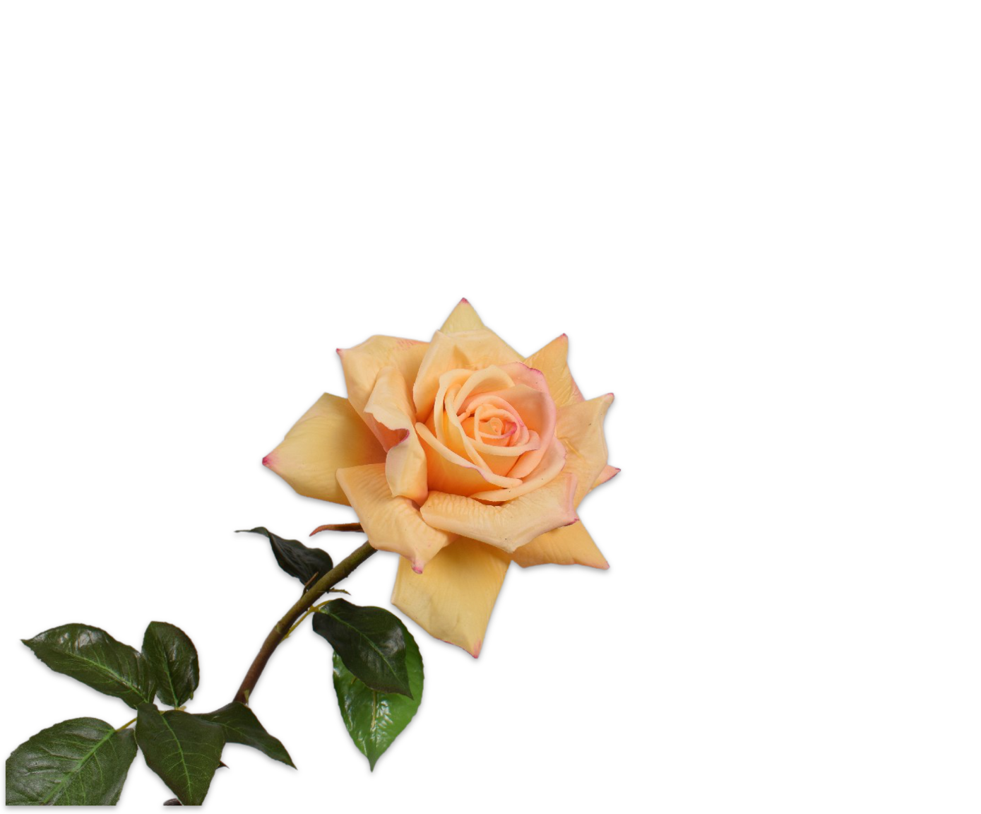 Rose Real Touch 69cm