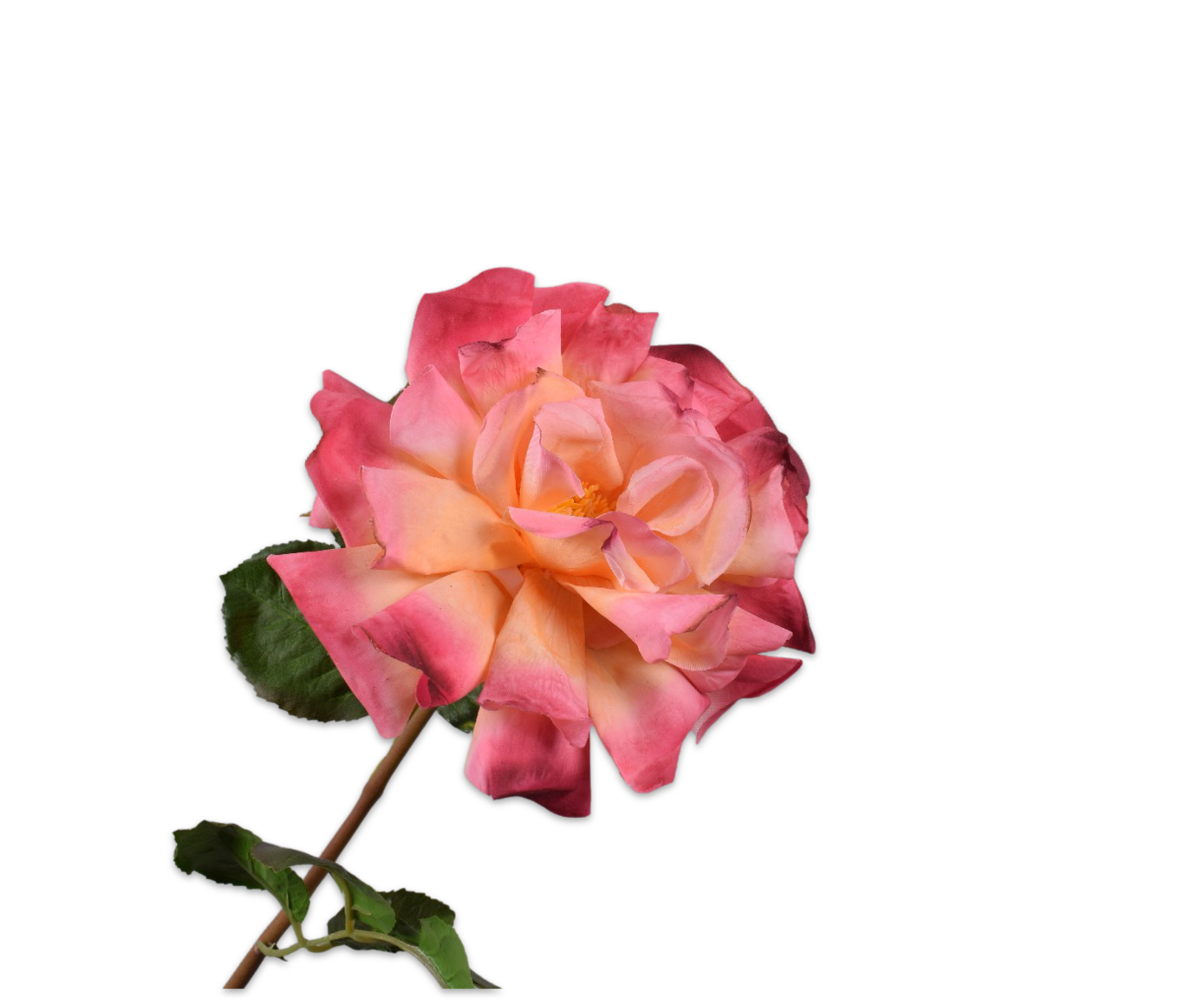 Rose Big Real Touch 69cm