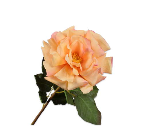 Rose Big Real Touch 69cm