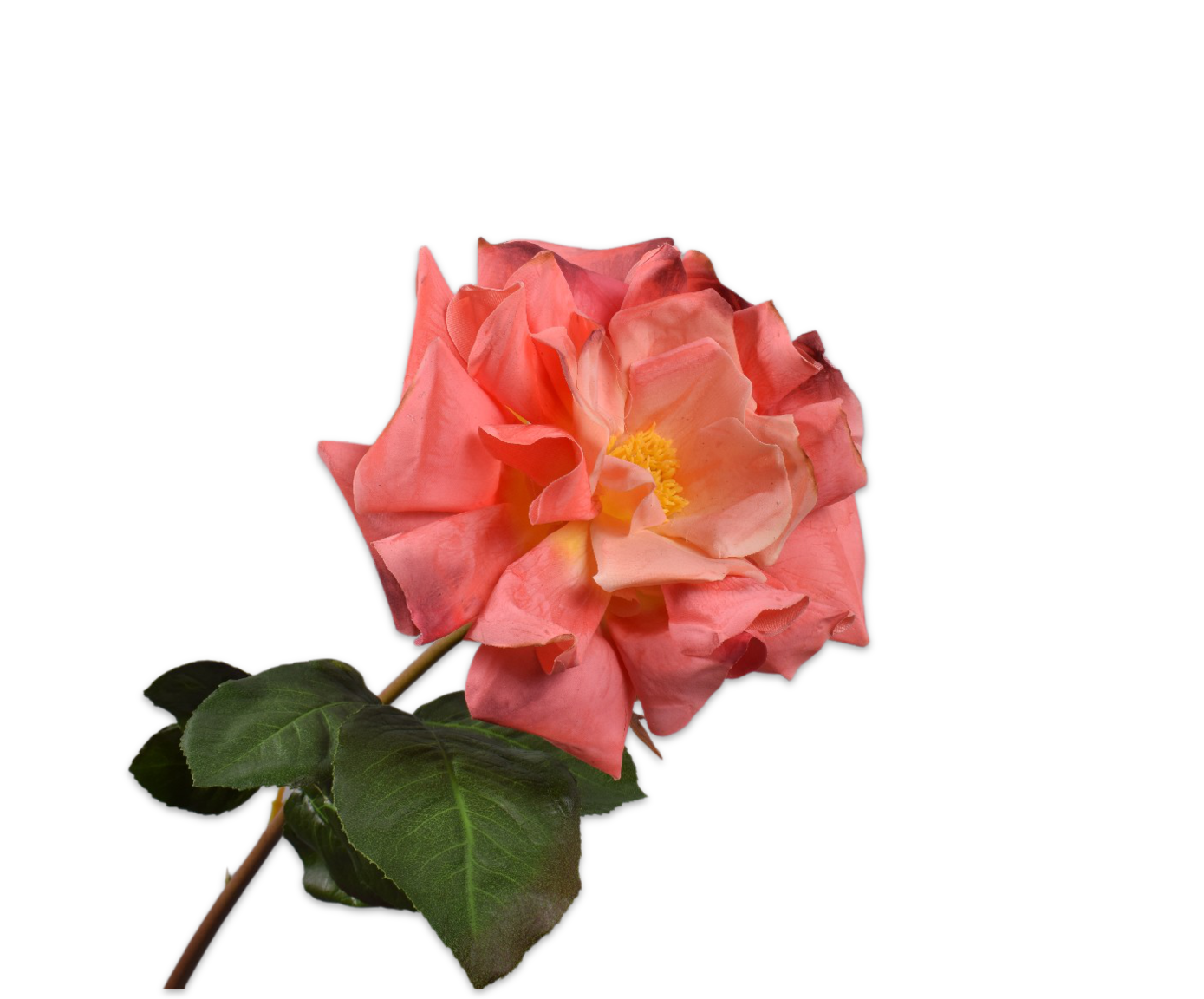Rose Big Real Touch 69cm