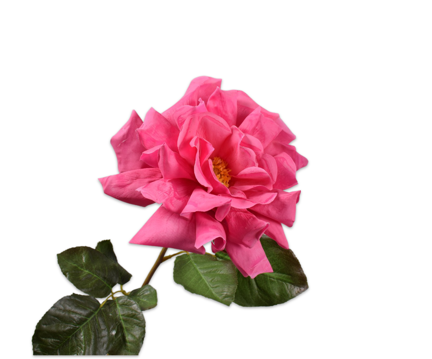 Rose Big Real Touch 69cm