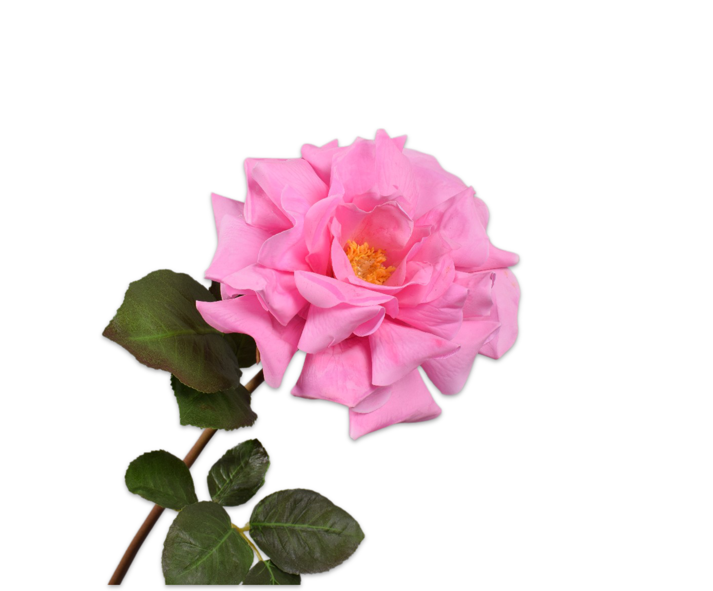 Rose Big Real Touch 69cm