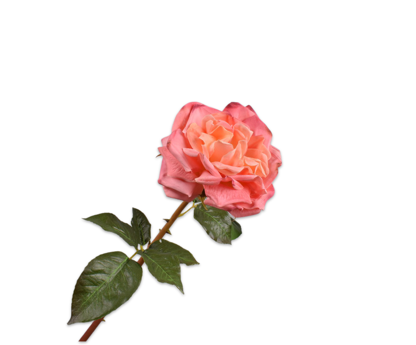 Rose Real Touch 51cm