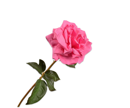 Rose Real Touch 51cm