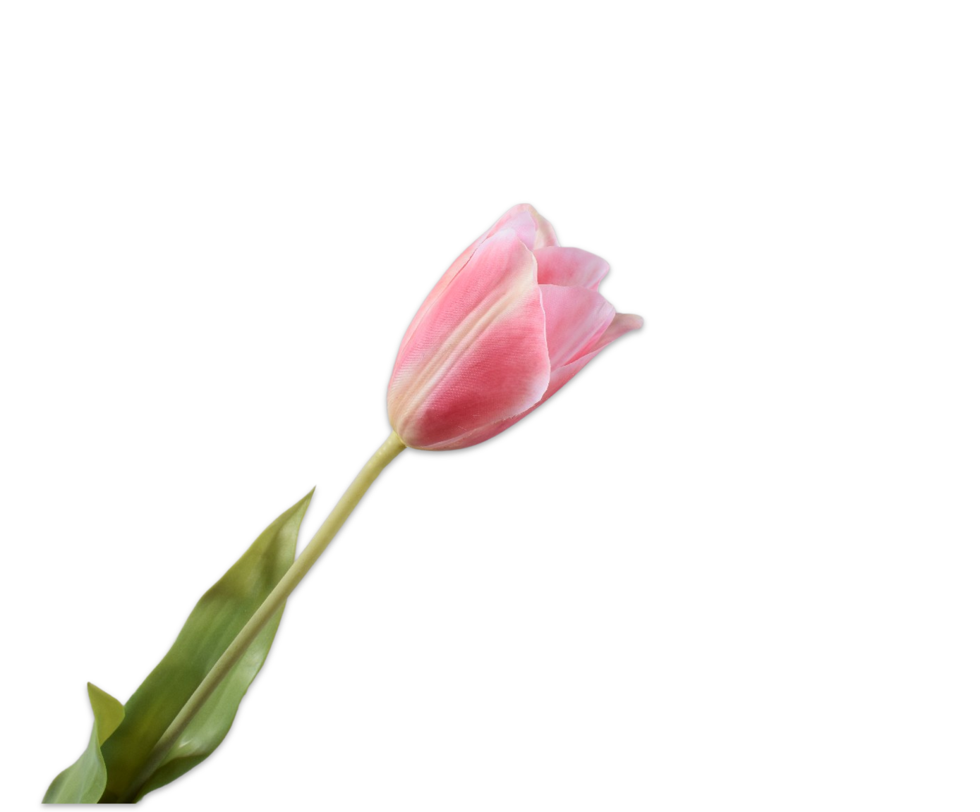 Tulips Real Touch 72cm