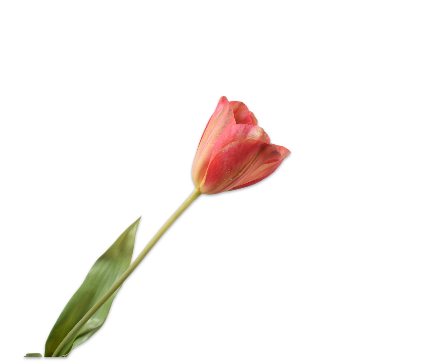 Tulips Real Touch 72cm