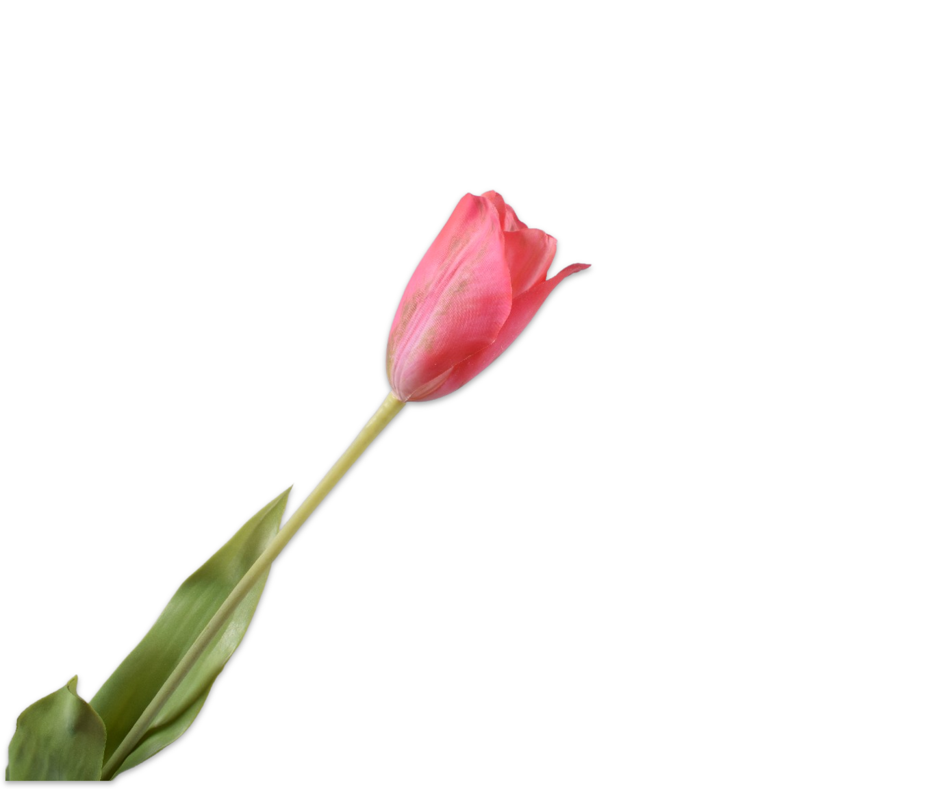 Tulips Real Touch 72cm