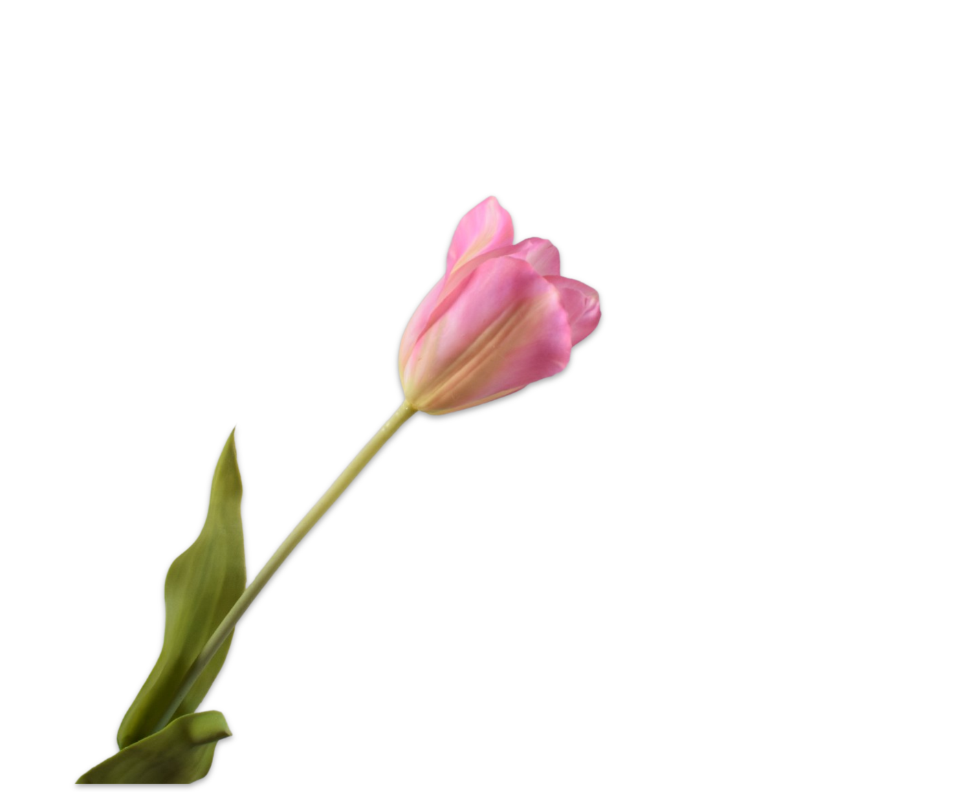 Tulips Real Touch 72cm