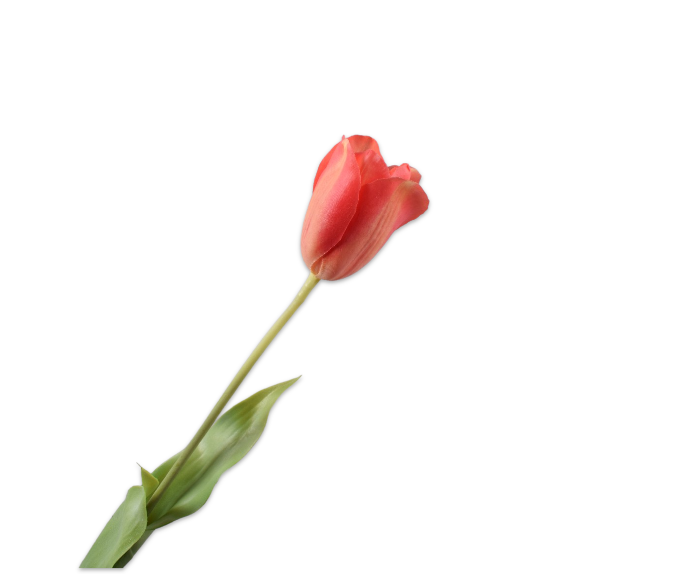 Tulips Real Touch 72cm