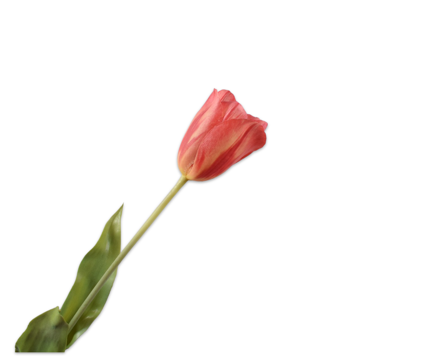 Tulips Real Touch 72cm