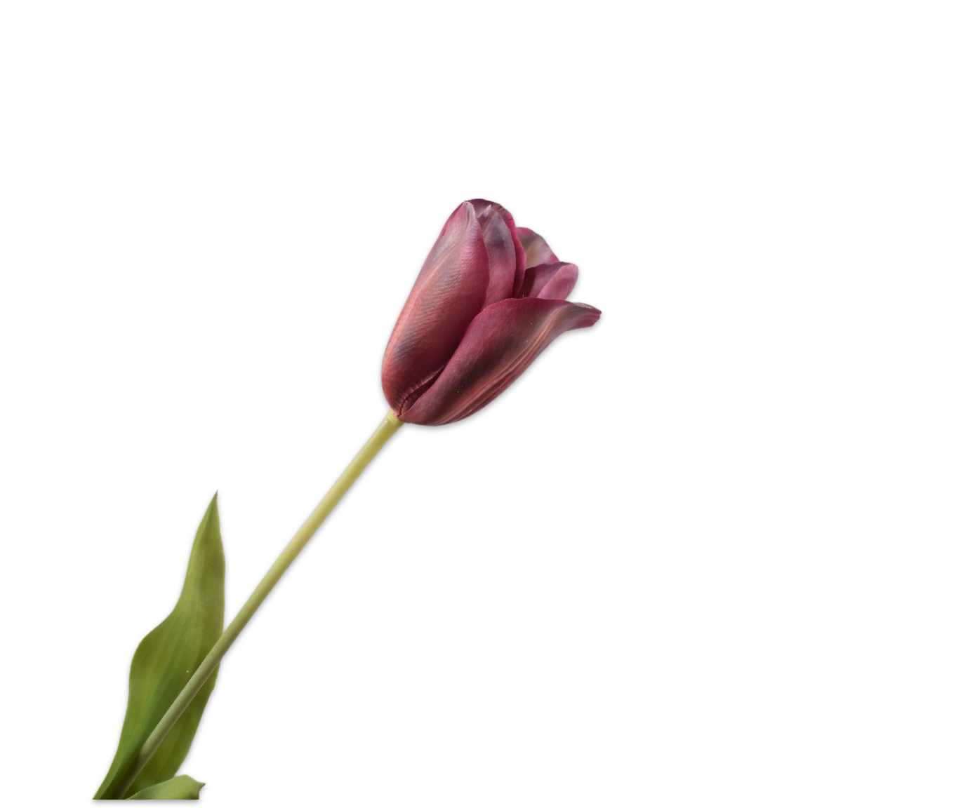 Tulips Real Touch 72cm
