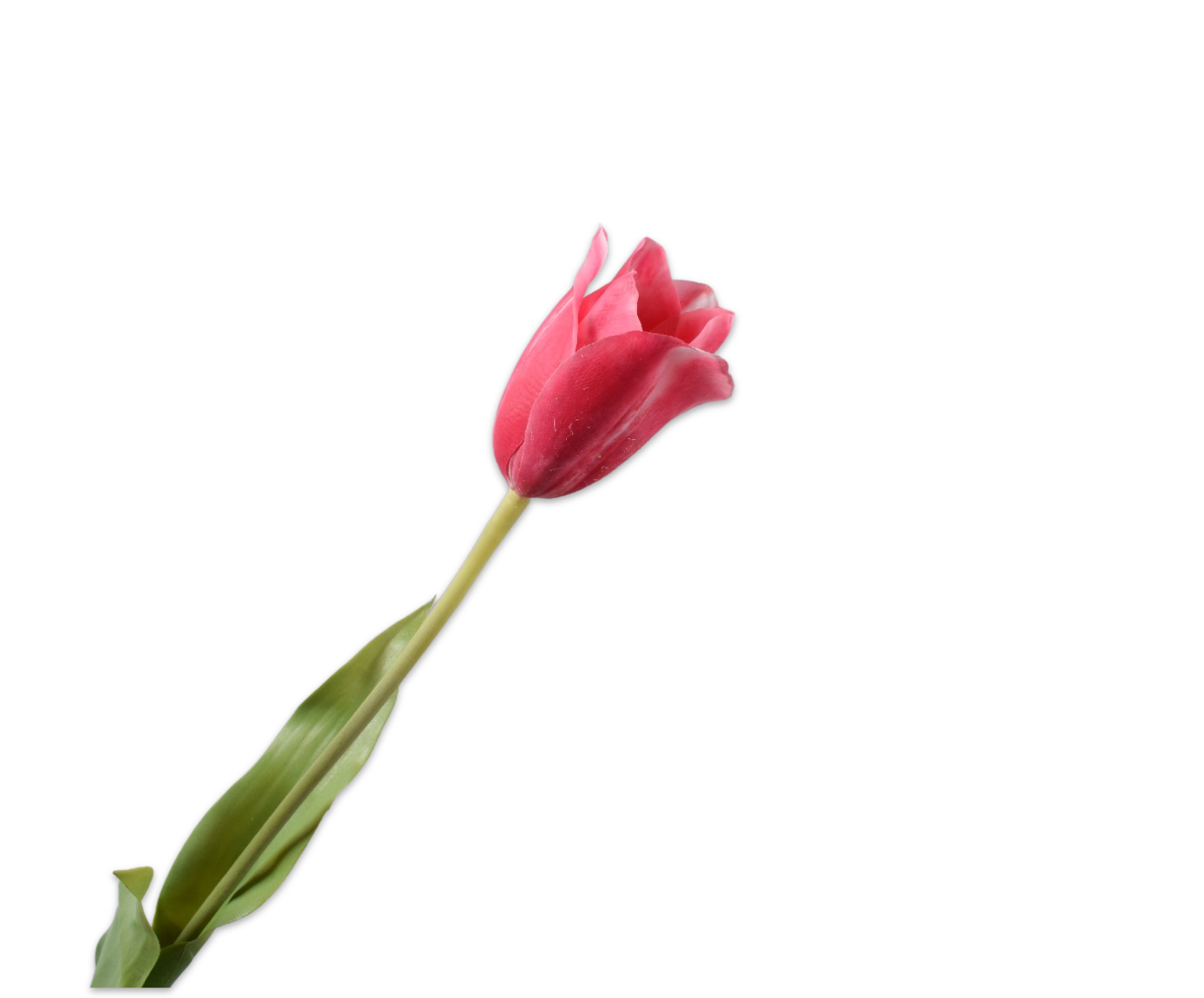 Tulips Real Touch 72cm