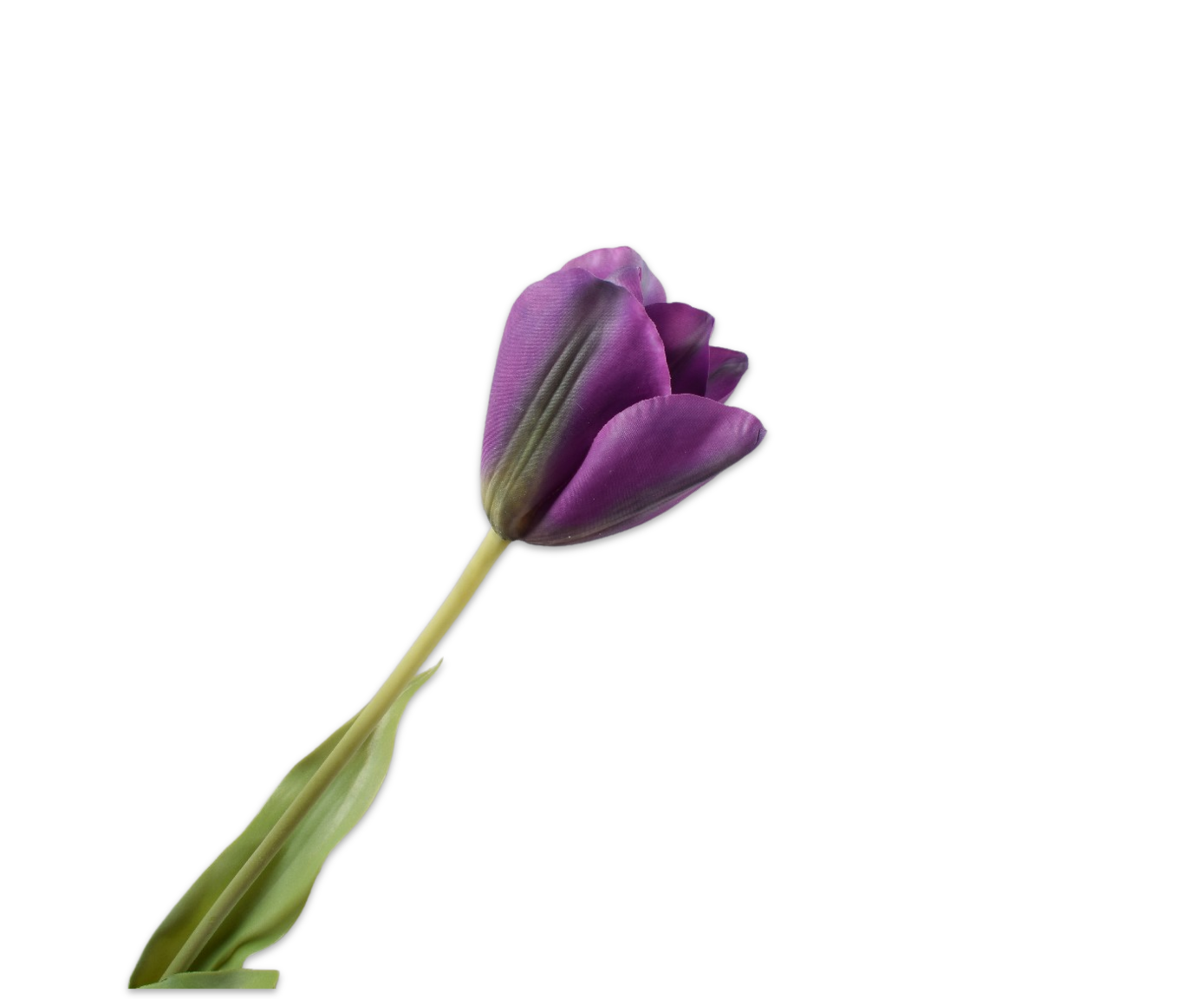 Tulips Real Touch 72cm