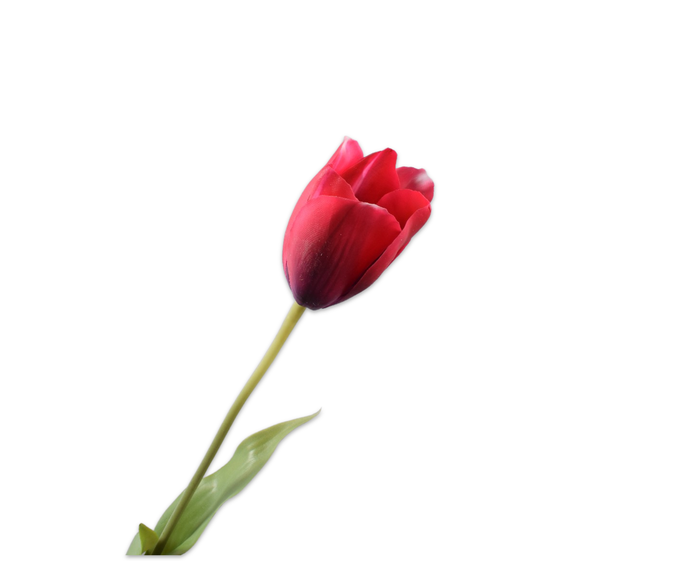 Tulips Real Touch 72cm