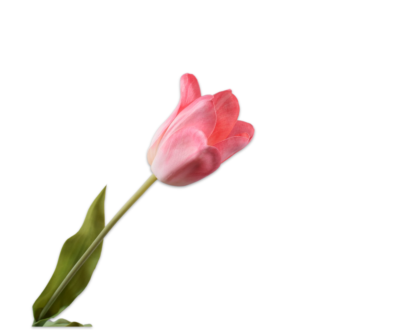 Tulips Real Touch 71cm