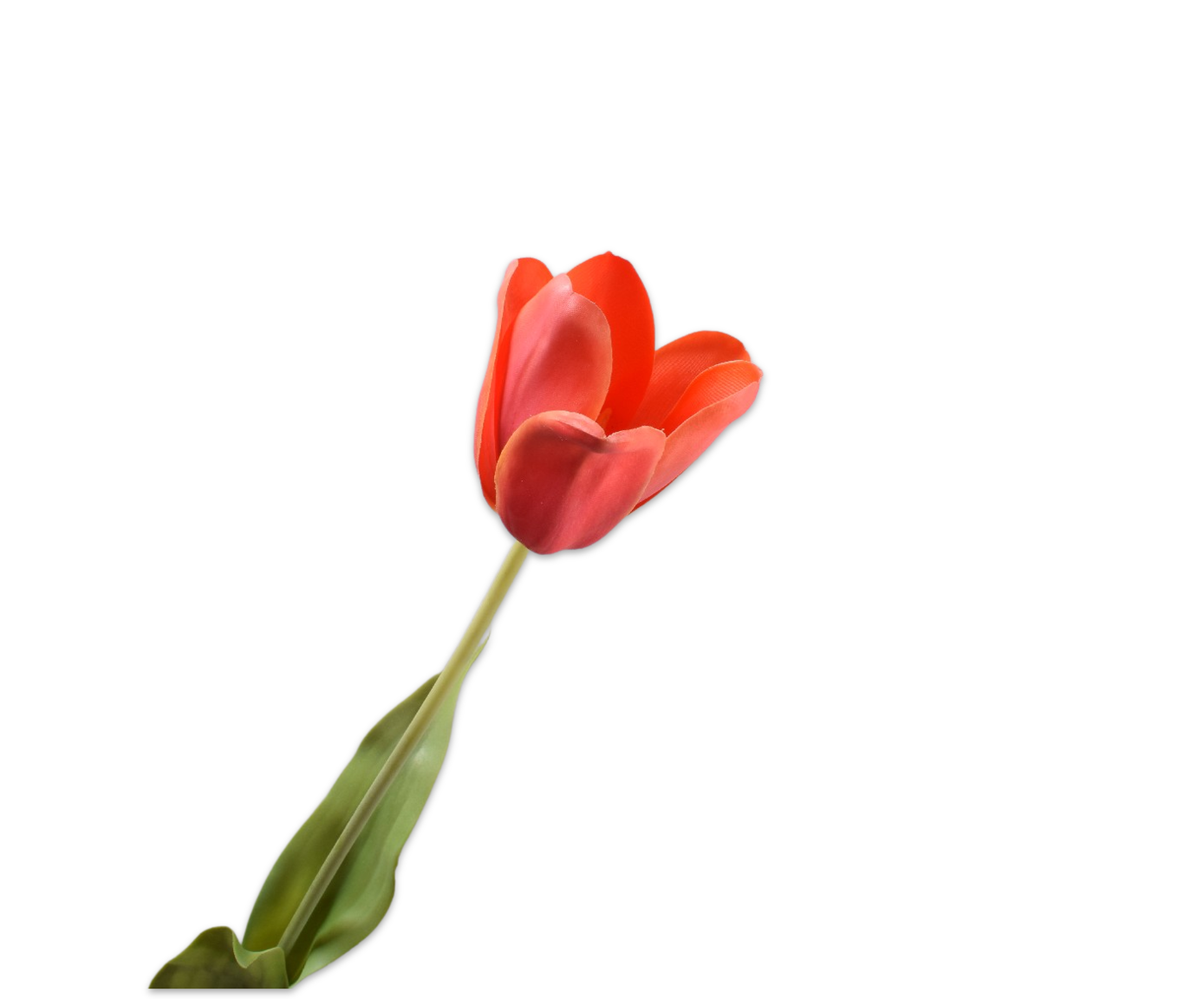 Tulips Real Touch 71cm