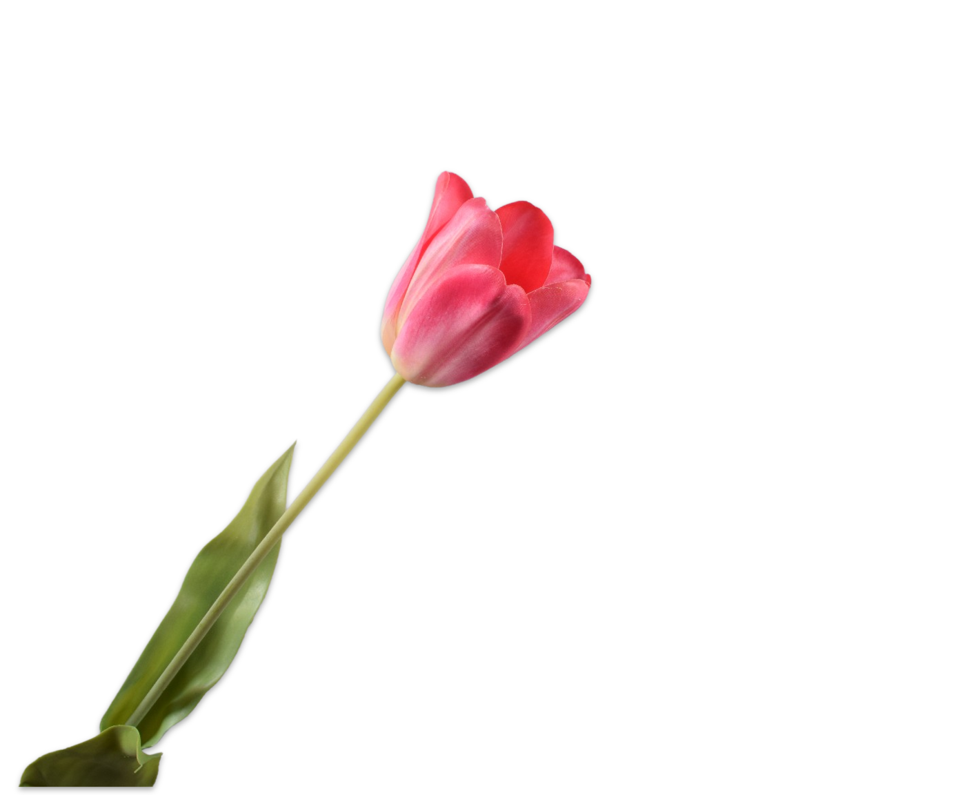 Tulips Real Touch 71cm