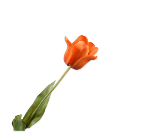 Tulips Real Touch 71cm