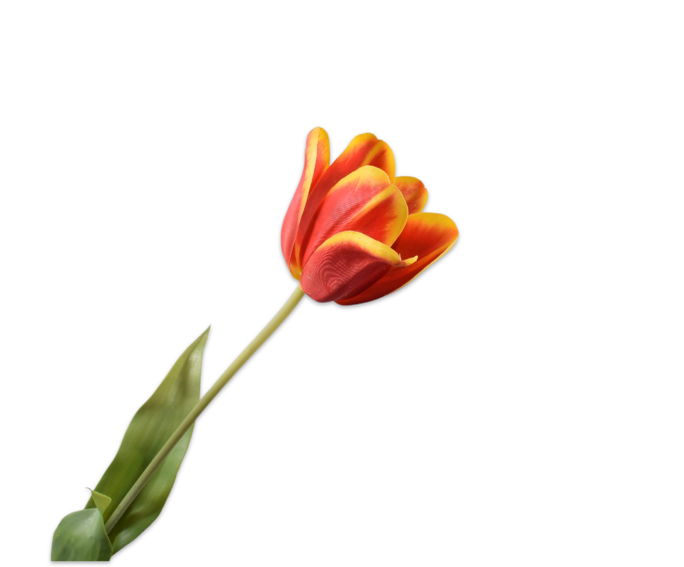 Tulips Real Touch 71cm