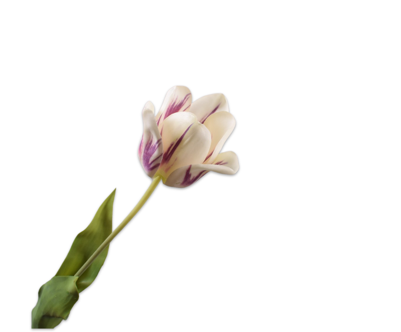 Tulips Real Touch 71cm