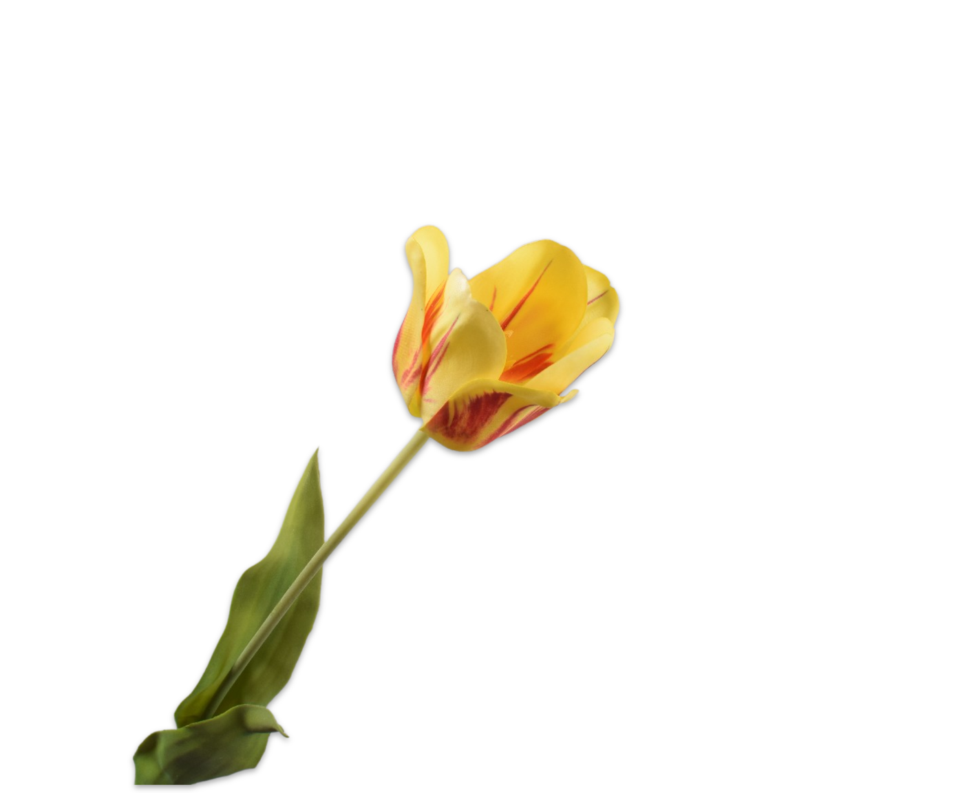 Tulips Real Touch 71cm