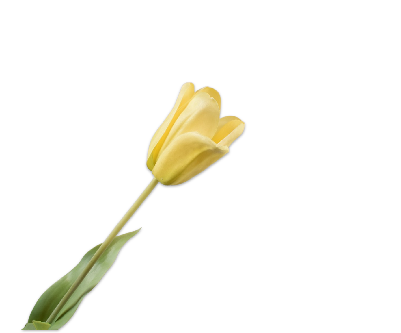Tulips Real Touch 71cm