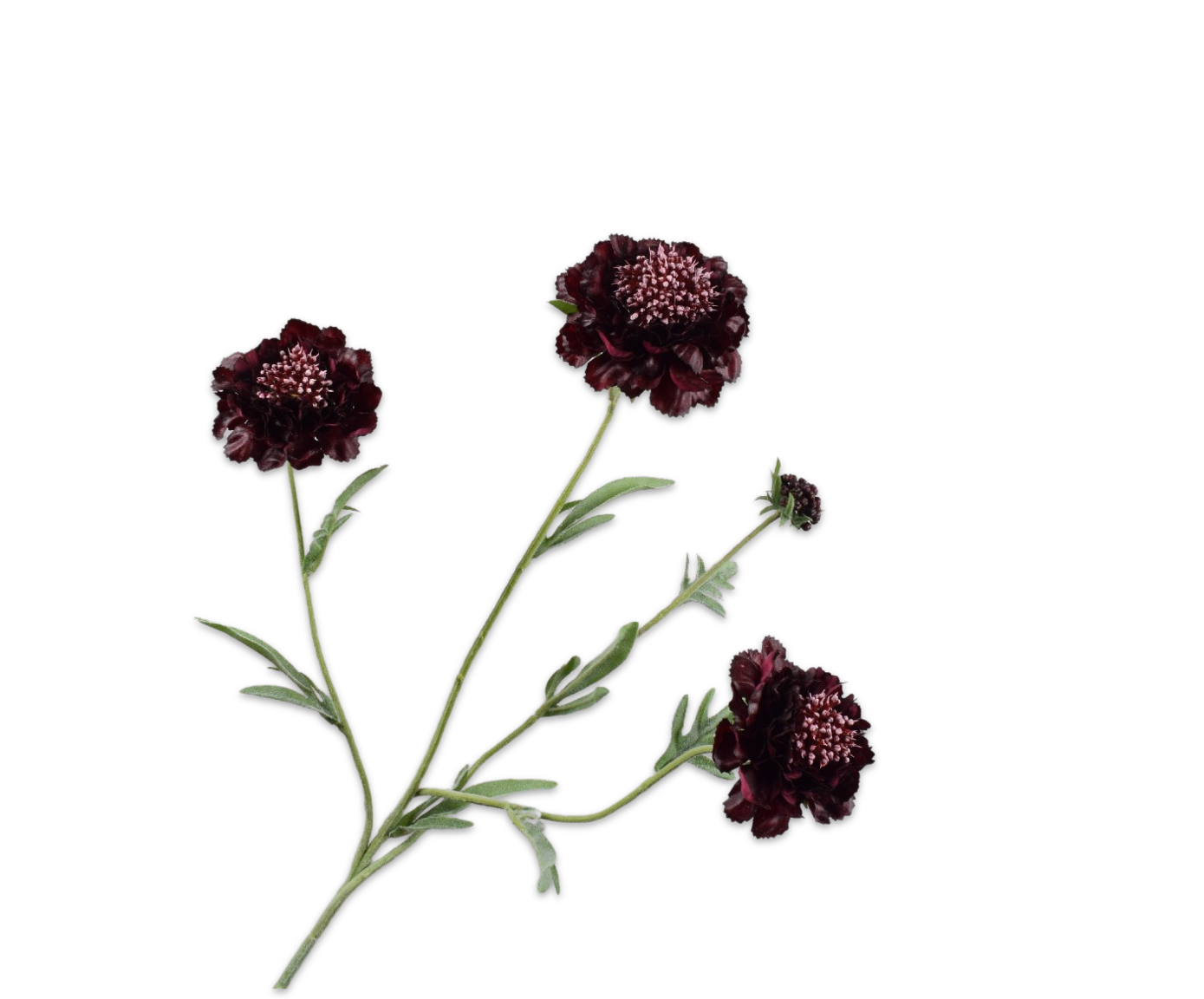 Scabiosa Real Touch 80cm