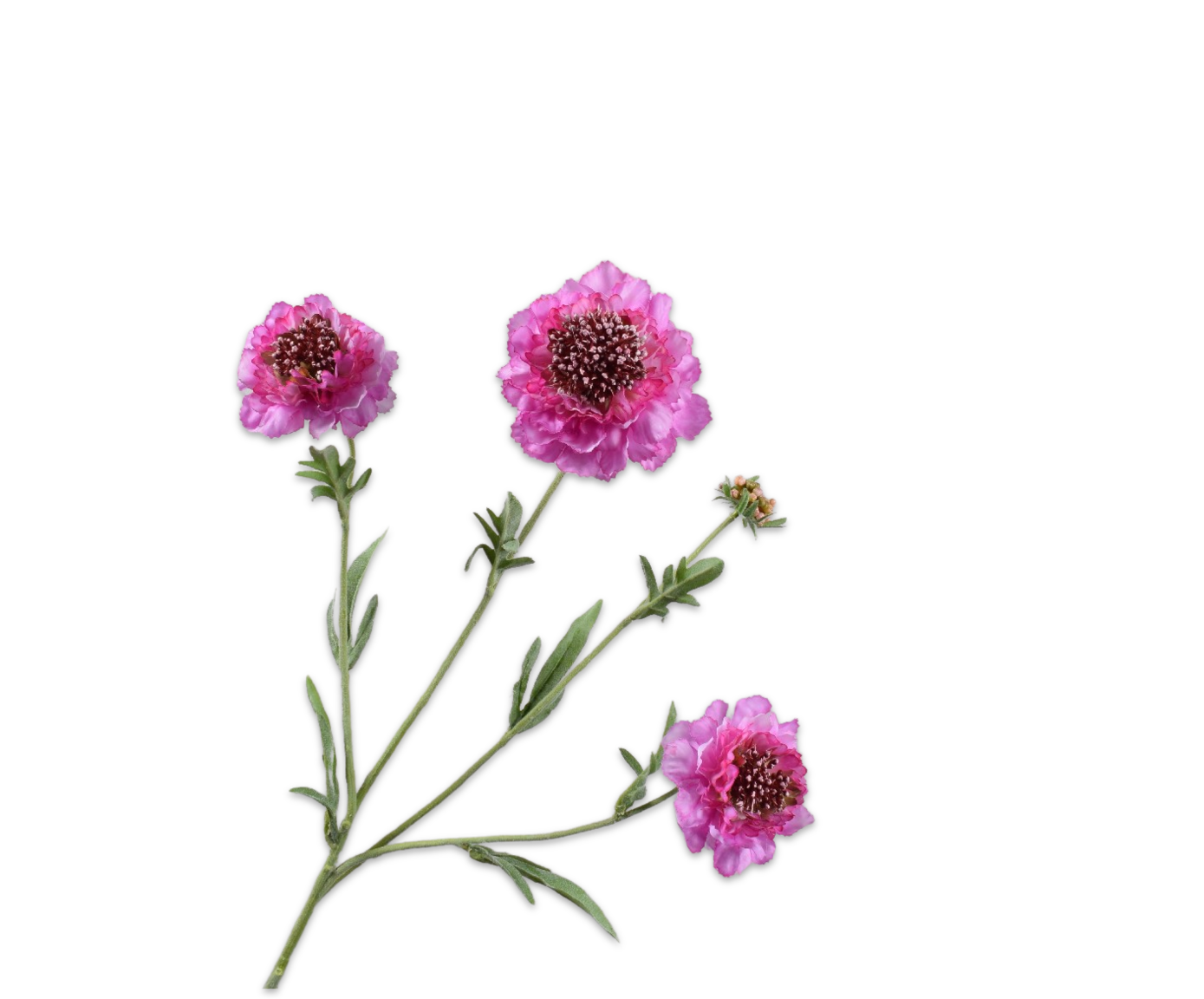 Scabiosa Real Touch 80cm