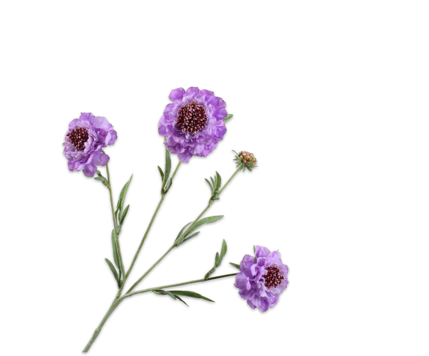 Scabiosa Real Touch 80cm
