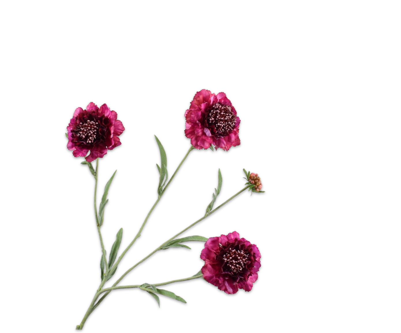 Scabiosa Real Touch 80cm