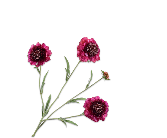 Scabiosa Real Touch 80cm