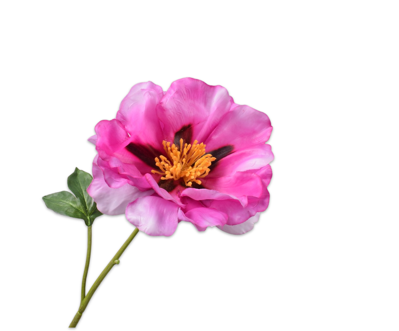 Peony Real Touch Bicolor