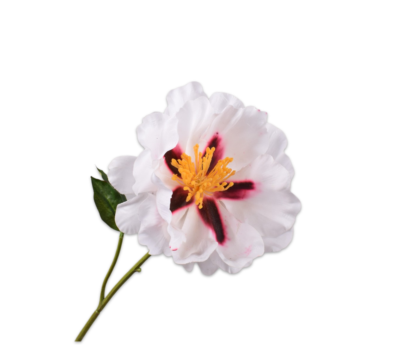 Peony Real Touch Bicolor