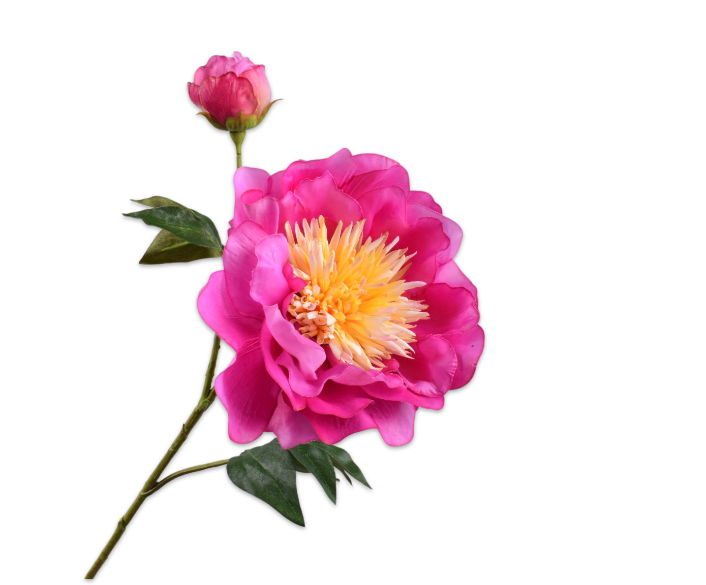 Peony Real Touch 79cm