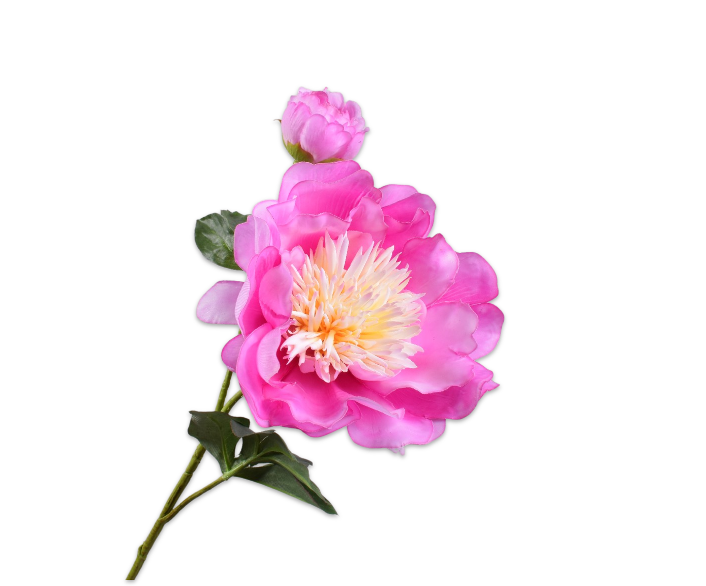 Peony Real Touch 79cm
