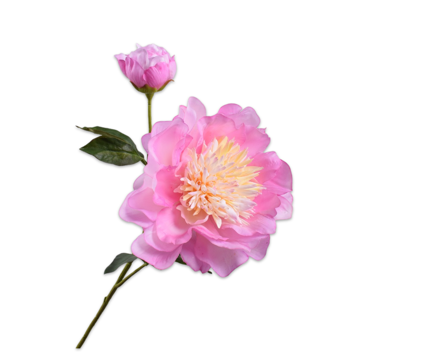 Peony Real Touch 79cm