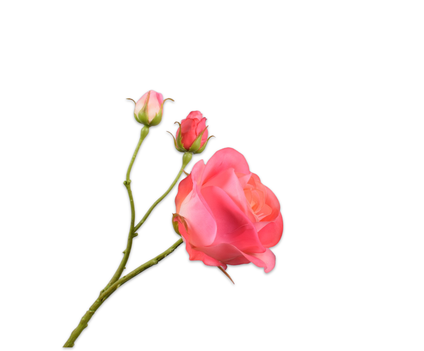 Rose RT 59cm