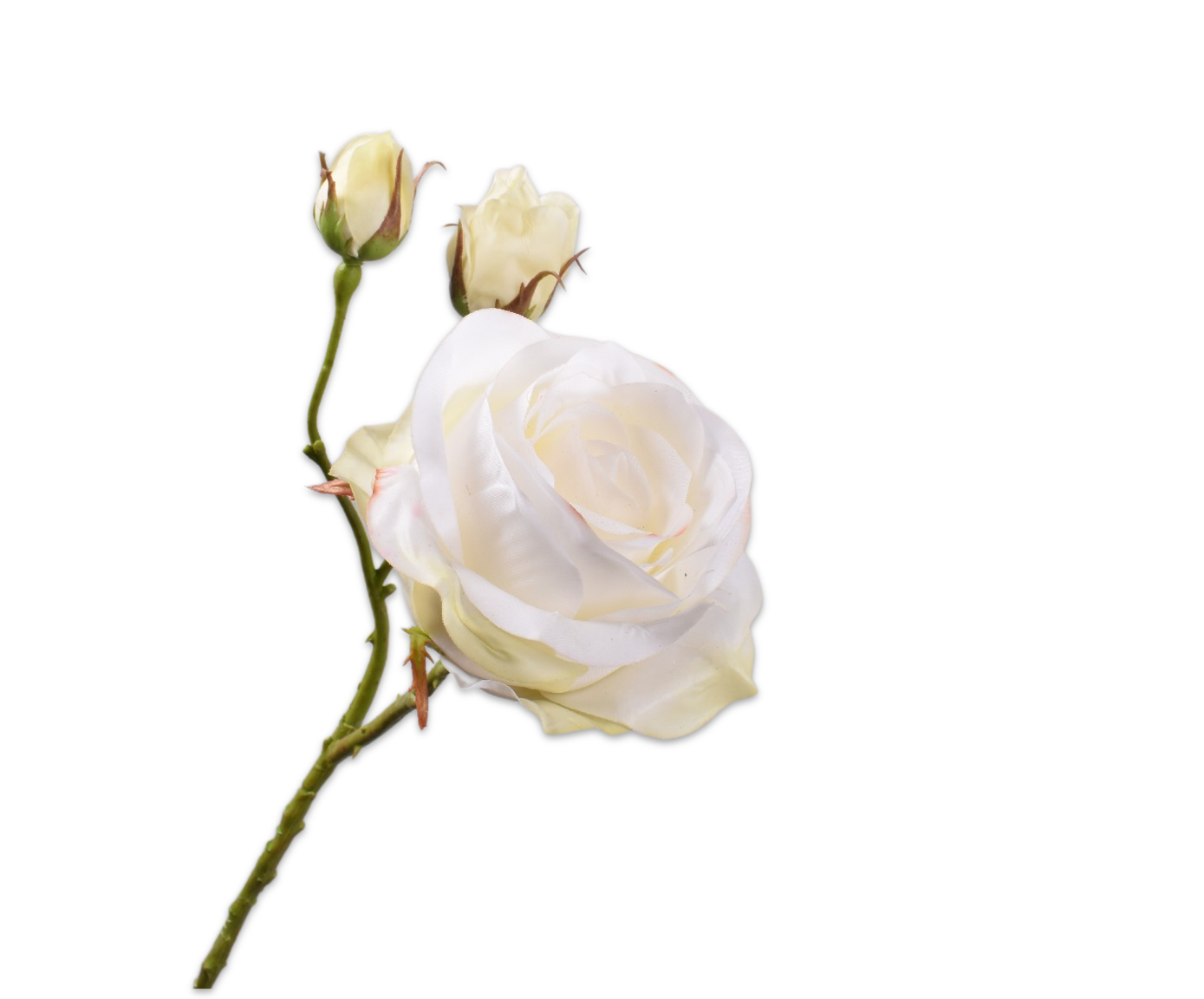 Rose RT 59cm