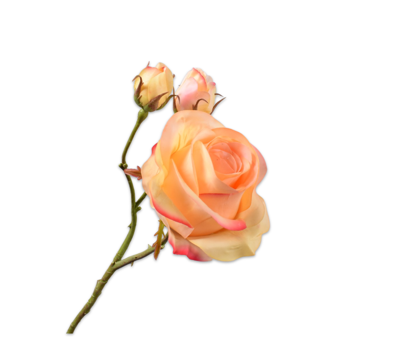 Rose RT 59cm