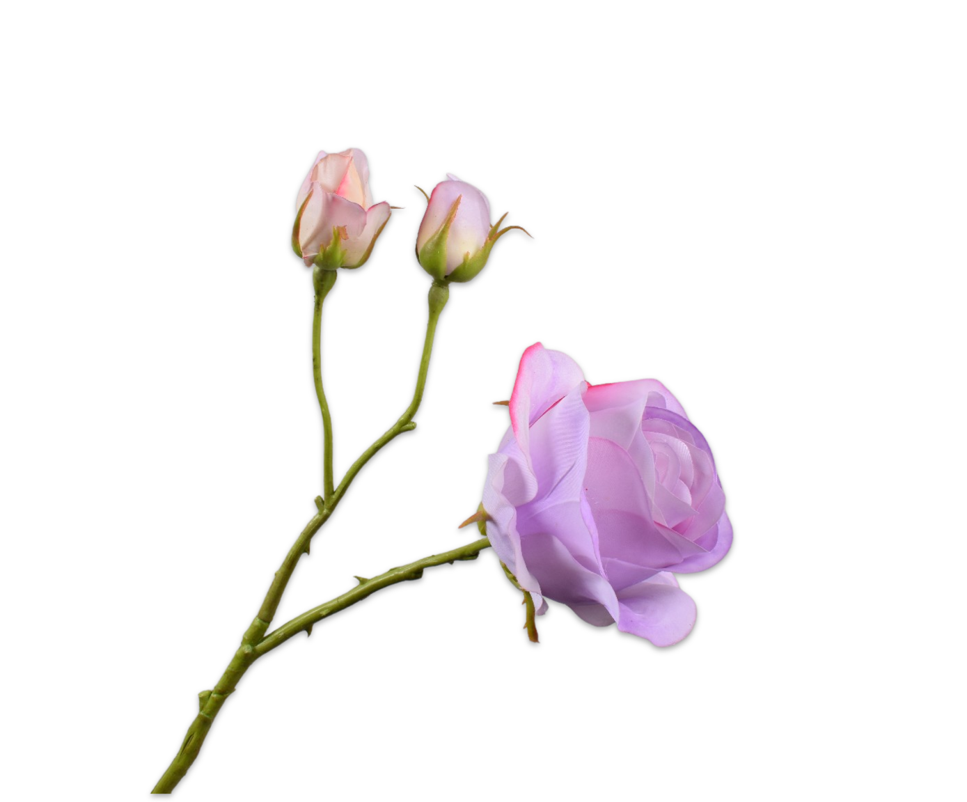 Rose RT 59cm