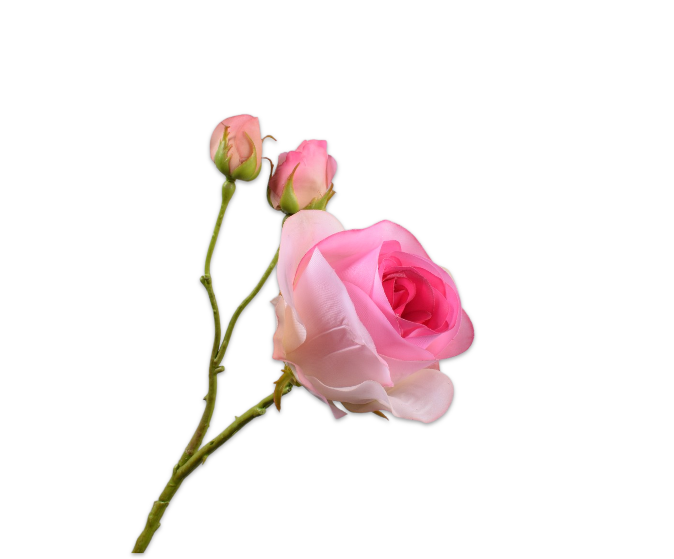 Rose RT 59cm