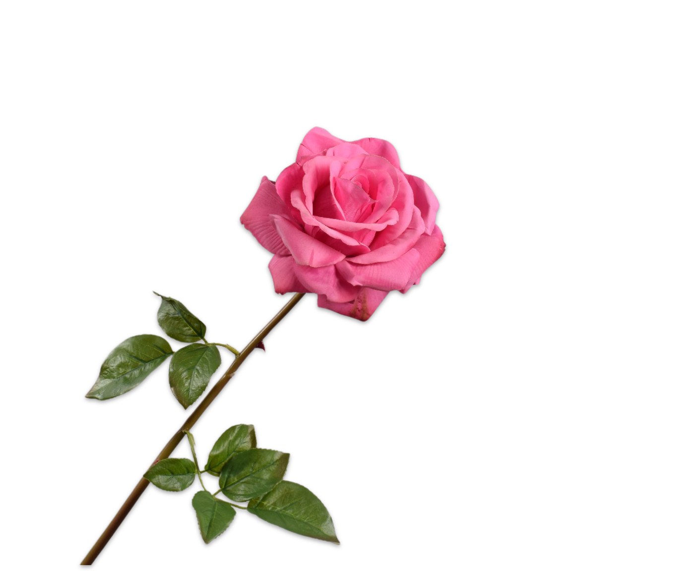 Rose Real Touch 68cm