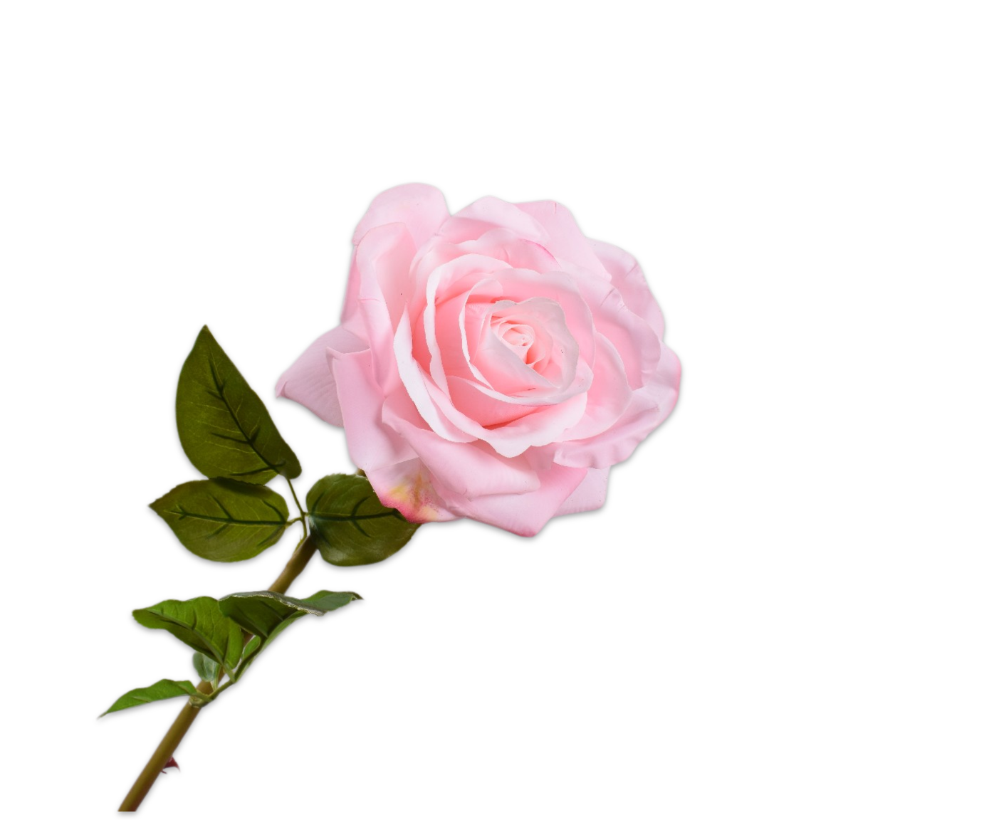 Rose Real Touch 68cm