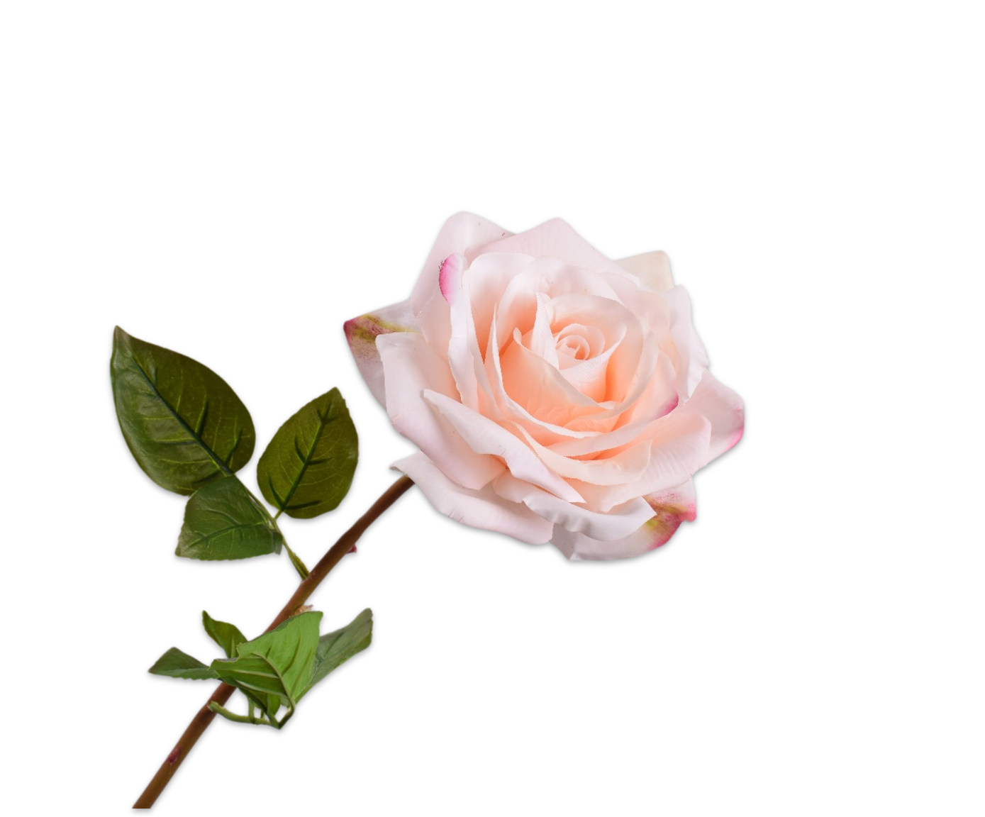Rose Real Touch 68cm