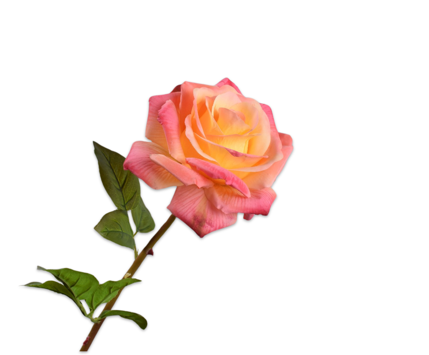Rose Real Touch 68cm